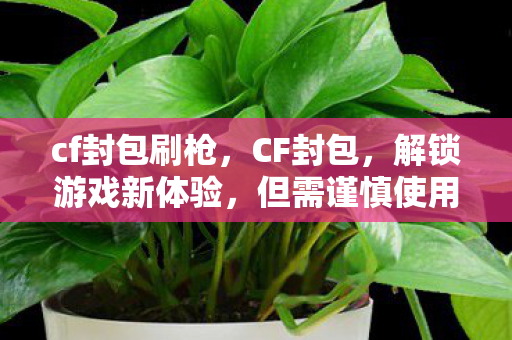 cf封包刷枪，CF封包，解锁游戏新体验，但需谨慎使用