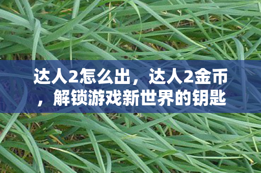 达人2怎么出，达人2金币，解锁游戏新世界的钥匙