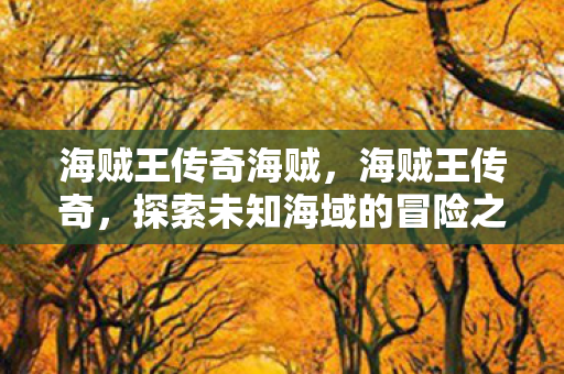 海贼王传奇海贼，海贼王传奇，探索未知海域的冒险之旅