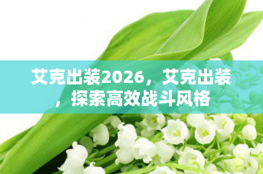艾克出装2026，艾克出装，探索高效战斗风格