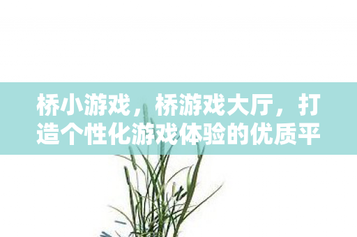 桥小游戏，桥游戏大厅，打造个性化游戏体验的优质平台