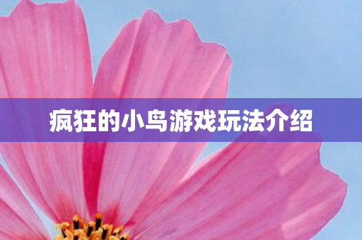 疯狂的小鸟游戏玩法介绍 疯狂的小鸟游戏玩法介绍