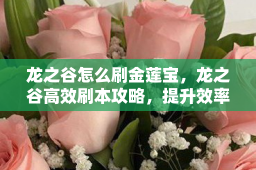 龙之谷怎么刷金莲宝，龙之谷高效刷本攻略，提升效率与收益的全面指南