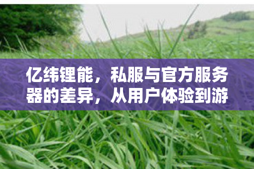 亿纬锂能，私服与官方服务器的差异，从用户体验到游戏生态的探讨