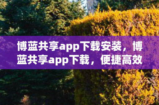 博蓝共享app下载安装，博蓝共享app下载，便捷高效，开启智能生活新篇章