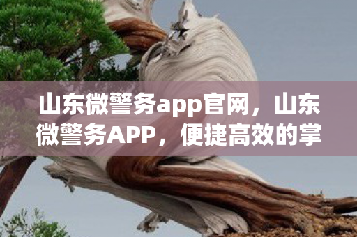 山东微警务app官网，山东微警务APP，便捷高效的掌上警务服务