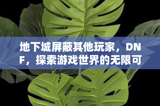 地下城屏蔽其他玩家，DNF，探索游戏世界的无限可能