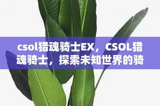 csol猎魂骑士EX，CSOL猎魂骑士，探索未知世界的骑士之旅