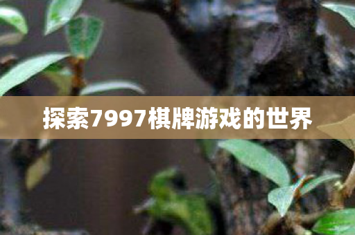 探索7997棋牌游戏的世界