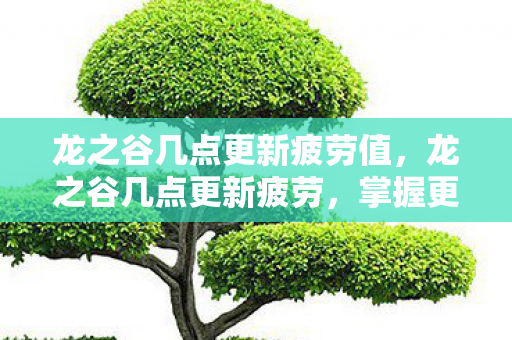 龙之谷几点更新疲劳值，龙之谷几点更新疲劳，掌握更新节奏，高效利用资源