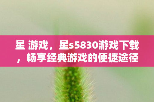 星 游戏，星s5830游戏下载，畅享经典游戏的便捷途径