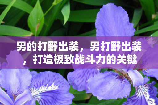 男的打野出装，男打野出装，打造极致战斗力的关键