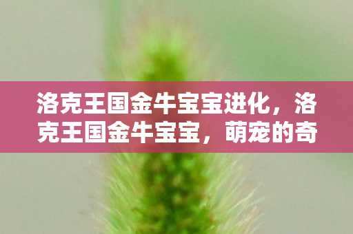 洛克王国金牛宝宝进化，洛克王国金牛宝宝，萌宠的奇幻之旅
