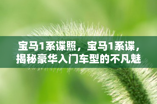 宝马1系谍照，宝马1系谍，揭秘豪华入门车型的不凡魅力