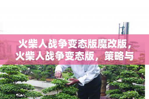 火柴人战争变态版魔改版，火柴人战争变态版，策略与力量的极致展现