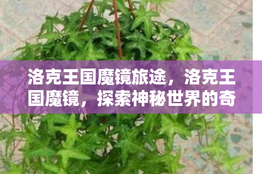 洛克王国魔镜旅途，洛克王国魔镜，探索神秘世界的奇幻之旅