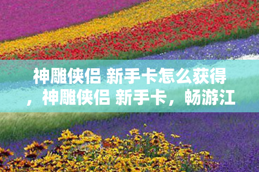 神雕侠侣 新手卡怎么获得，神雕侠侣 新手卡，畅游江湖的启程之钥