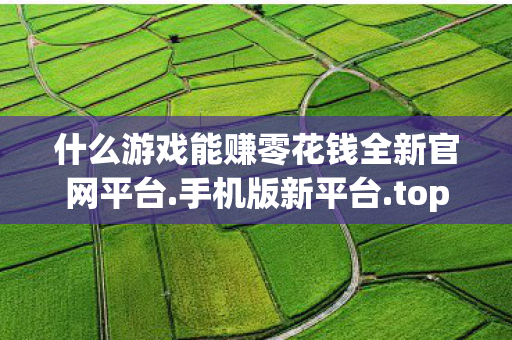 什么游戏能赚零花钱全新官网平台.手机版新平台.top，什么游戏能赚rmb，探索游戏盈利的奥秘