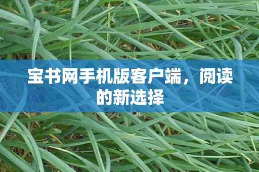 宝书网手机版客户端,阅读的新选择 宝书网手机版客户端,阅读的新选择