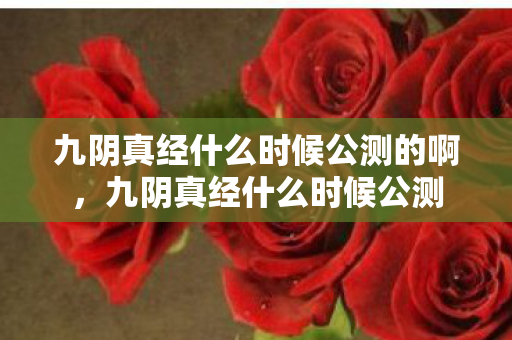 九阴真经什么时候公测的啊，九阴真经什么时候公测