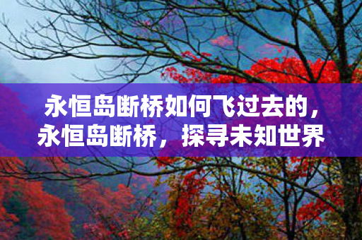 永恒岛断桥如何飞过去的，永恒岛断桥，探寻未知世界的神秘之旅