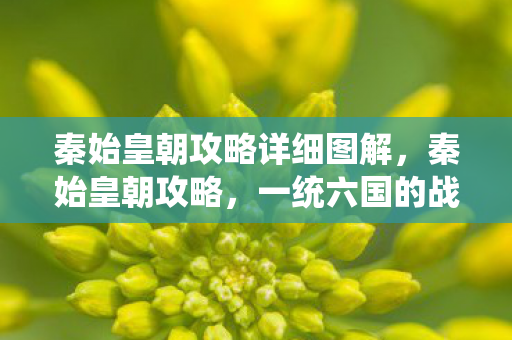 秦始皇朝攻略详细图解，秦始皇朝攻略，一统六国的战略与智慧