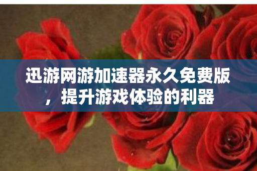 迅游网游加速器永久免费版，提升游戏体验的利器