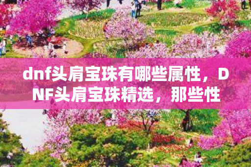 dnf头肩宝珠有哪些属性，DNF头肩宝珠精选，那些性价比超高的选择