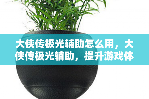 大侠传极光辅助怎么用，大侠传极光辅助，提升游戏体验的神奇工具