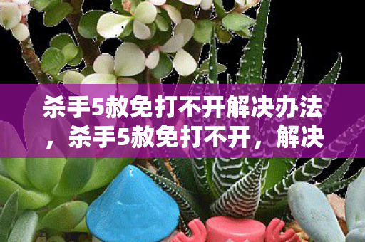 杀手5赦免打不开解决办法，杀手5赦免打不开，解决难题，畅享游戏