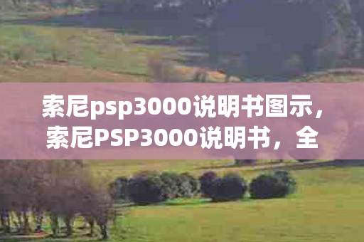 索尼psp3000说明书图示，索尼PSP3000说明书，全面指南