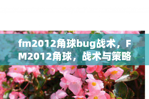 fm2012角球bug战术，FM2012角球，战术与策略的深度剖析