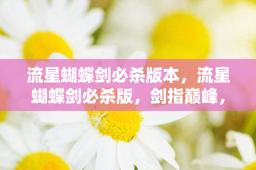 流星蝴蝶剑必杀版本，流星蝴蝶剑必杀版，剑指巅峰，一击必杀