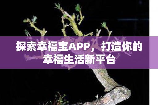 探索幸福宝APP，打造你的幸福生活新平台