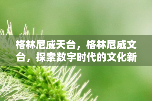 格林尼威天台，格林尼威文台，探索数字时代的文化新边疆