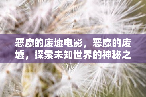 恶魔的废墟电影，恶魔的废墟，探索未知世界的神秘之旅