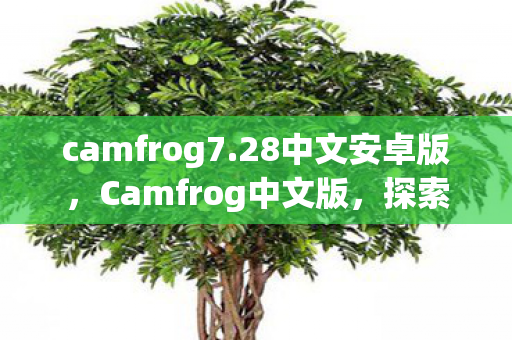 camfrog7.28中文安卓版，Camfrog中文版，探索虚拟世界的无限可能