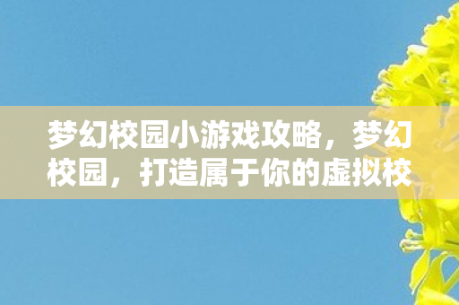 梦幻校园小游戏攻略，梦幻校园，打造属于你的虚拟校园之旅