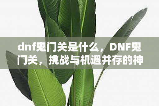 dnf鬼门关是什么，DNF鬼门关，挑战与机遇并存的神秘领域