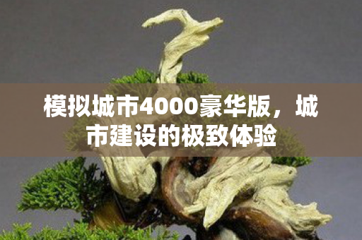 模拟城市4000豪华版，城市建设的极致体验