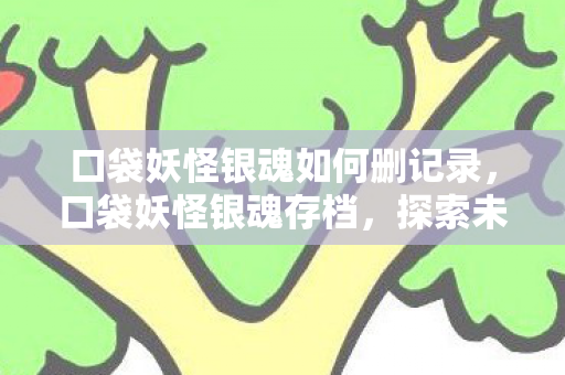 口袋妖怪银魂如何删记录，口袋妖怪银魂存档，探索未知世界的奇妙之旅