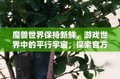 魔兽世界保持新鲜，游戏世界中的平行宇宙，探索官方与私服的独特魅力