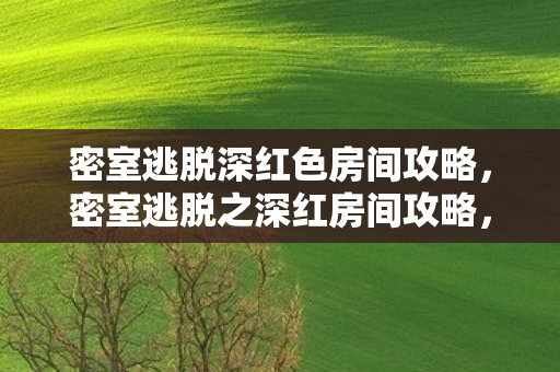 密室逃脱深红色房间攻略，密室逃脱之深红房间攻略，解锁谜题，逃离深红房间