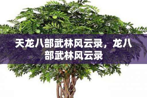 天龙八部武林风云录，龙八部武林风云录