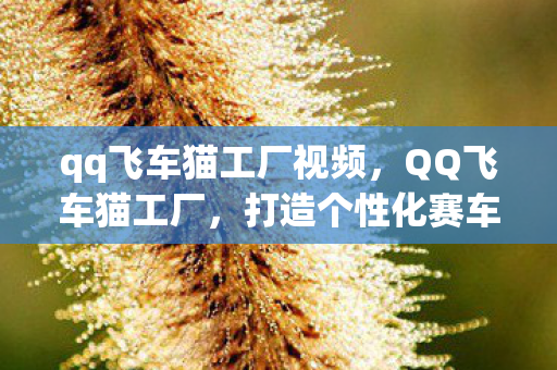 qq飞车猫工厂视频，QQ飞车猫工厂，打造个性化赛车的梦幻工坊