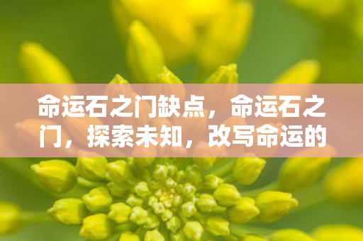 命运石之门缺点，命运石之门，探索未知，改写命运的奇幻之旅