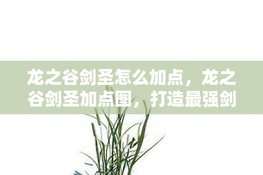 龙之谷剑圣怎么加点，龙之谷剑圣加点图，打造最强剑术大师