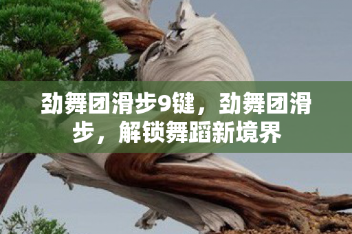 劲舞团滑步9键，劲舞团滑步，解锁舞蹈新境界