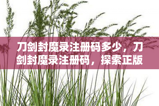 刀剑封魔录注册码多少，刀剑封魔录注册码，探索正版游戏的魅力与价值