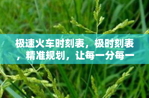 极速火车时刻表，极时刻表，精准规划，让每一分每一秒都充满价值